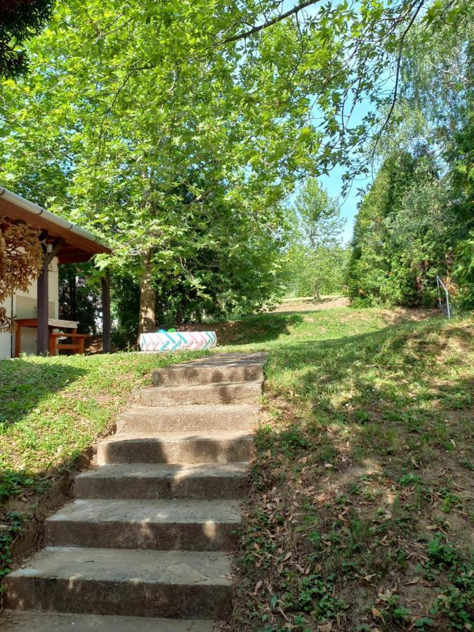 Helena Apartman Cserszegtomaj Exterior foto